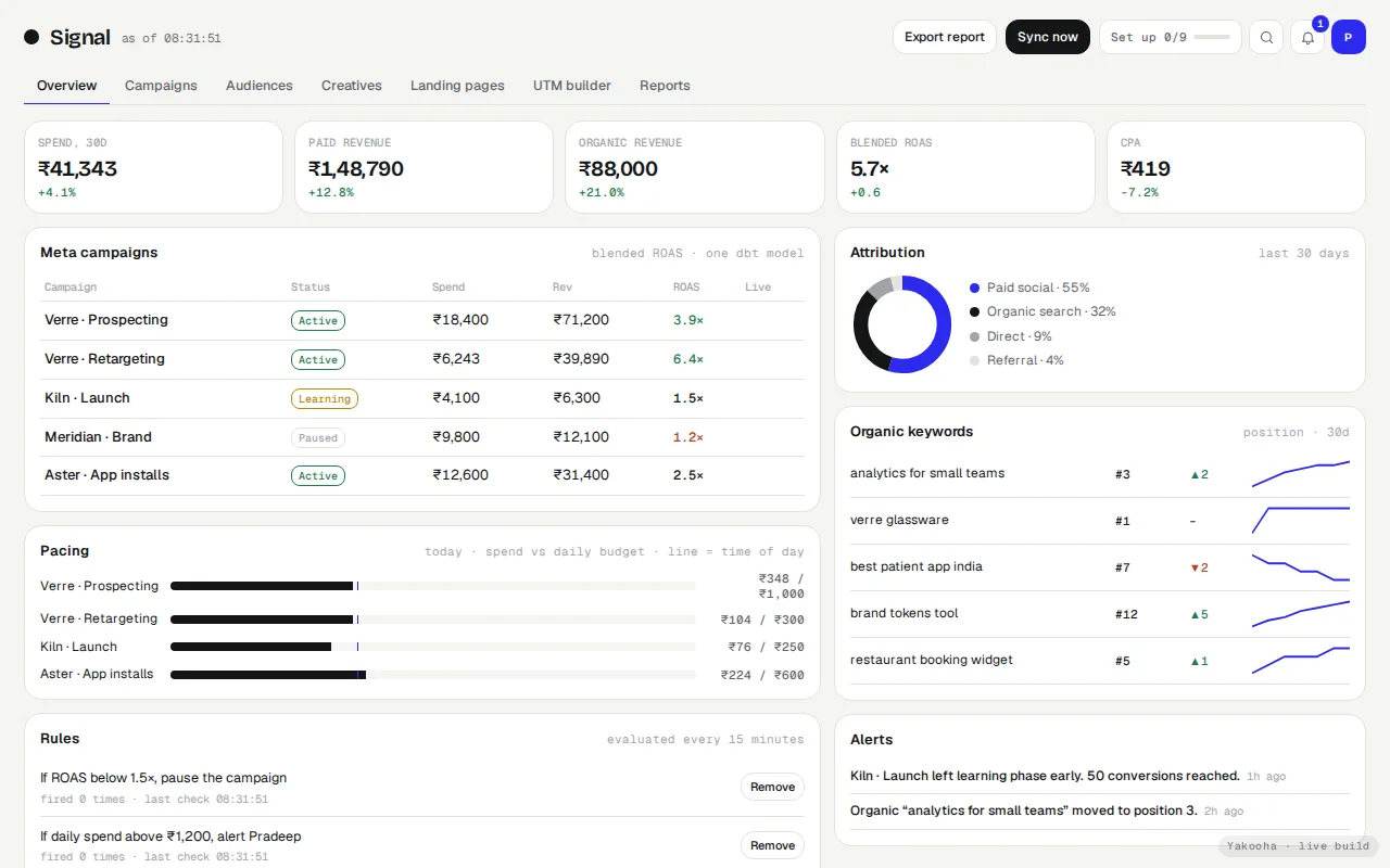 Signal on desktop: Growth engine for a DTC brand